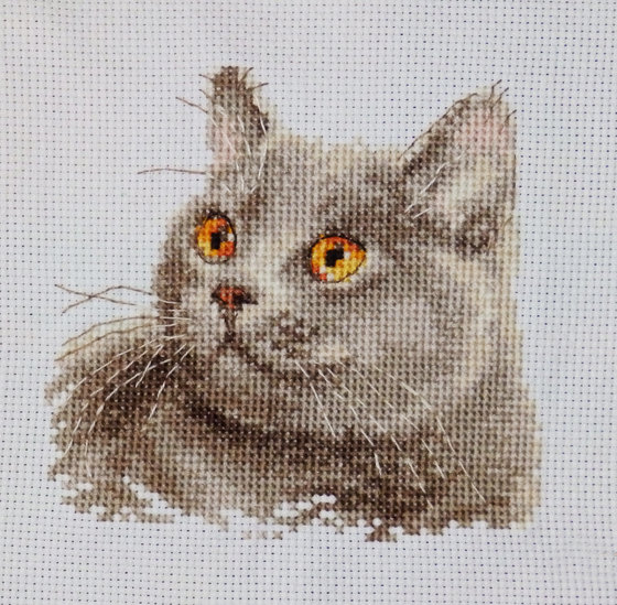 Работа «Из серии " Коты"»