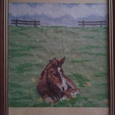 Работа «Он жеребенок»