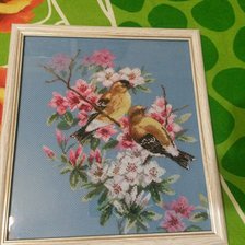 Работа «№67665»