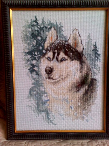 Работа «Ж-1156" Верный хаски" Panna.»