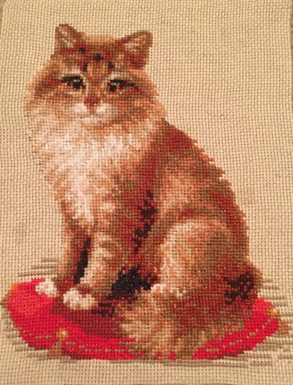 Работа «Котик»