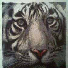 Работа «№67990»