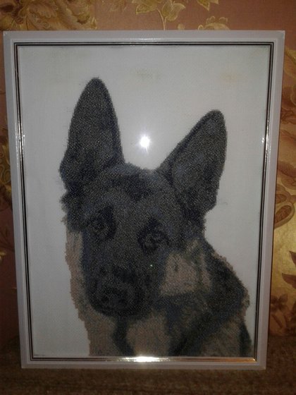 Работа «Овчарка»