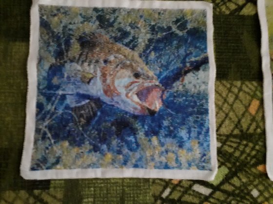 Работа «Серия РЫБЫ»