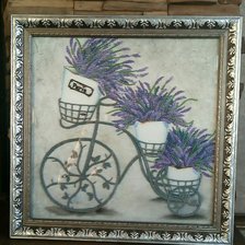 Работа «ПРОВАНС»