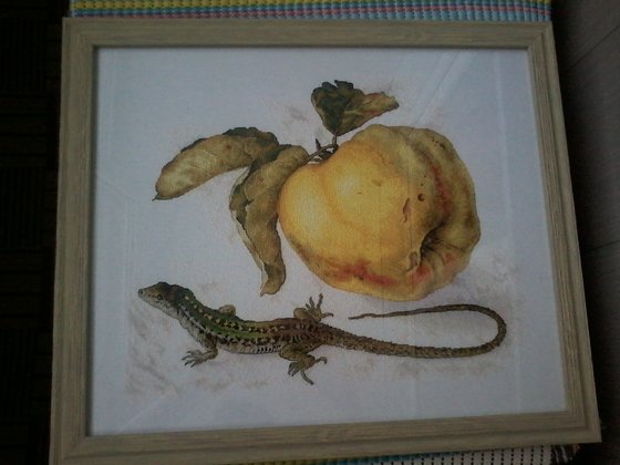 Работа «Айва от  Екатерины Волковой»