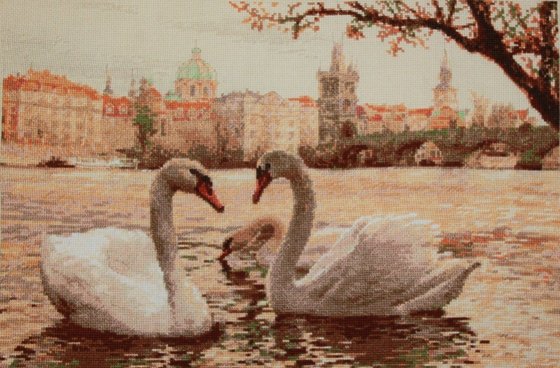 Работа «Лебеди. Прага.»