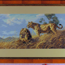 Работа «Львиное семейство»