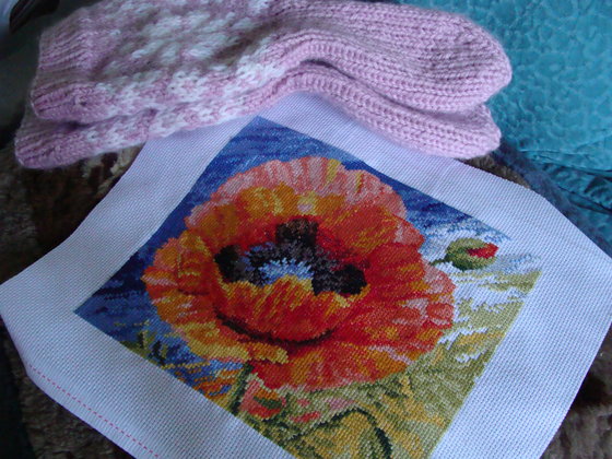 Работа «Очередной подарок для сестренки ! Алый мак !»