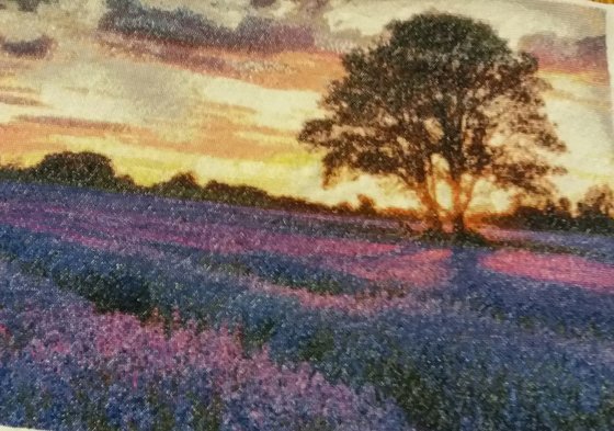 Работа «№69711»