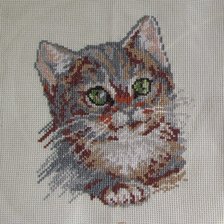 Работа «Котёнок»