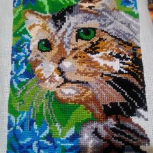 Работа «Кот в цветах.»