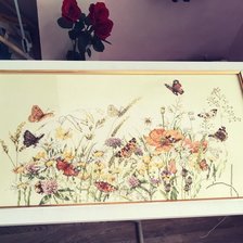 Работа «Бабочки на лугу»