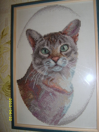 Работа «Киса»