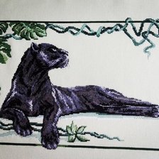 Работа «Bagyra»