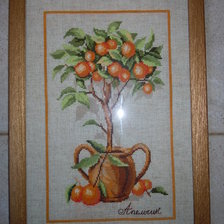 Работа «Апельсиновое дерево»