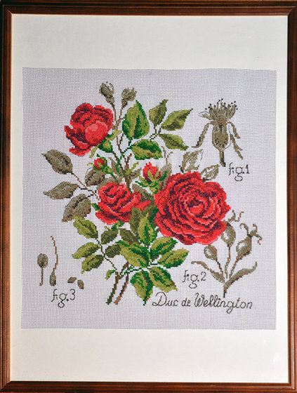 Работа «Роза Duc de Wellington (ботаническая серия DFEA)»