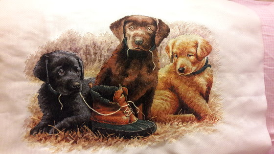 Работа «Жевательная игрушка от Dimensions»