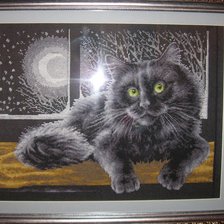 Работа «Черный кот»