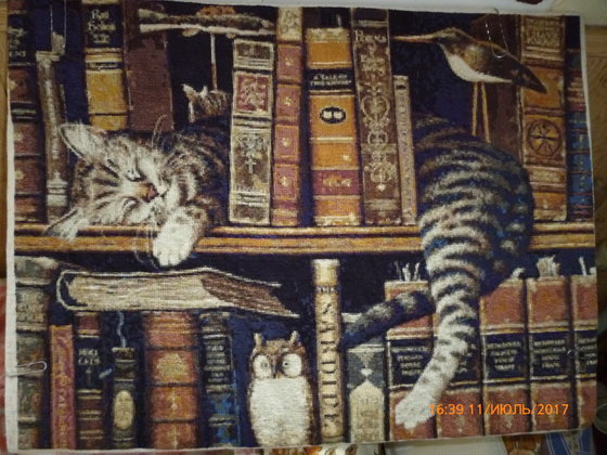 Работа «Кот в библиотеке»