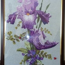 Работа «ИРИС»