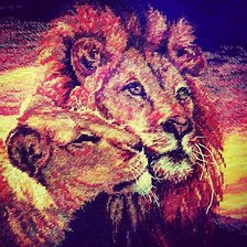 Работа «ЛЬВЫ-НЕЖНОСТЬ»