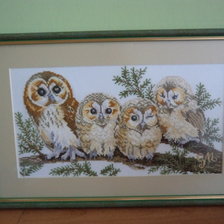 Работа «Rodzinka sowia»