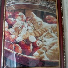 Работа «Котята в яблоках.»