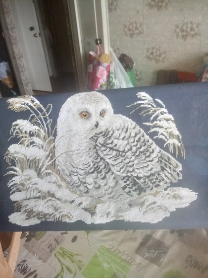 Работа «Полярная сова»
