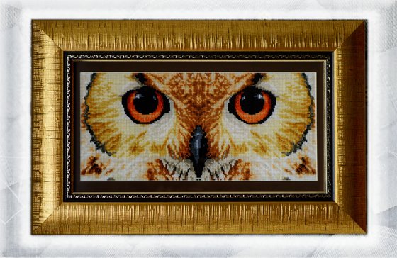 Работа «Совёнок =)»