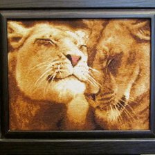 Работа «Влюбленные львы»