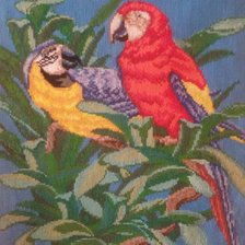 Работа «Попугаи»