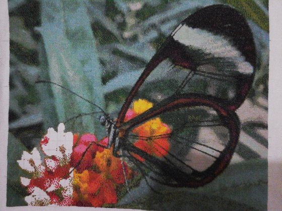 Работа «№72630»