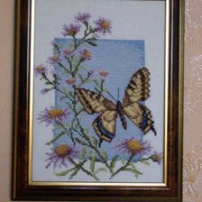 Работа «Бабочка "Махаон"»