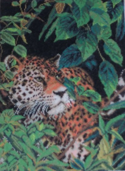 Работа «Хозяин джунглей»