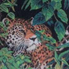 Работа «Хозяин джунглей»