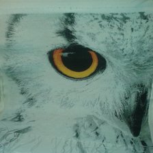 Работа «промежуточный этап для недоверчивых :)»