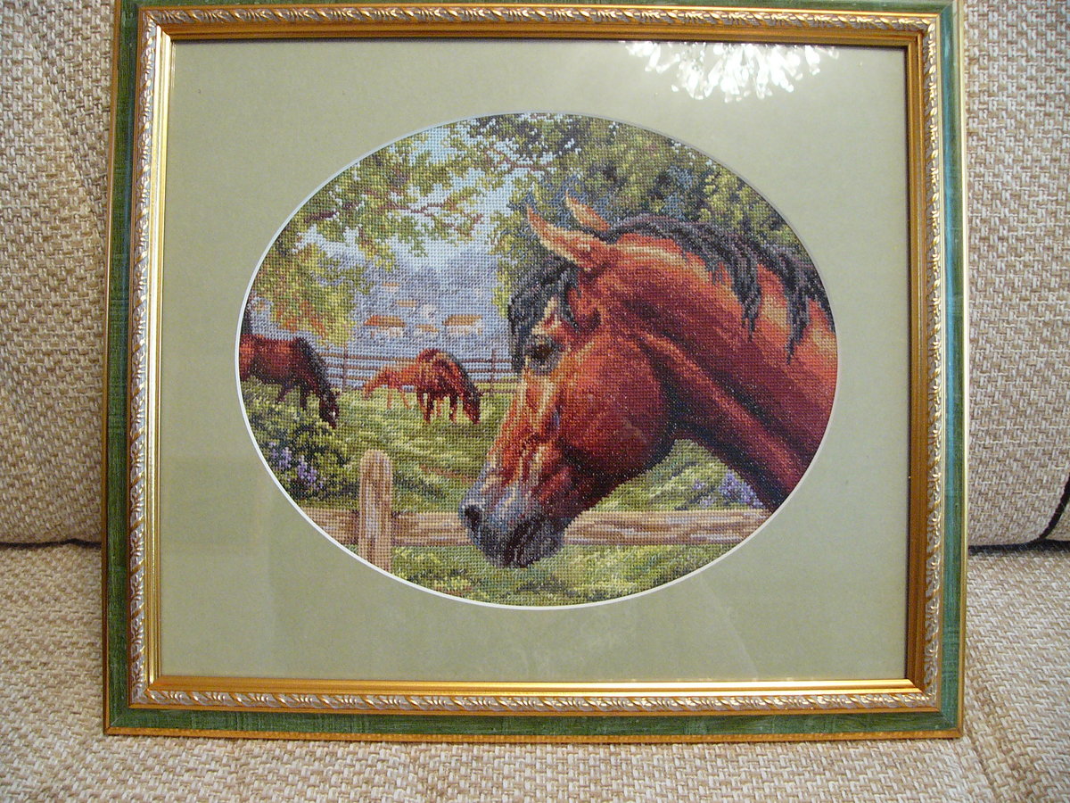 Вышивка фирма панна. Вышивка крестом летний венок панна. Панна гнедой набор для вышивания. Вышивка крестом панна цветы. Вышивка фирма панна.