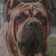 Работа «№73582»