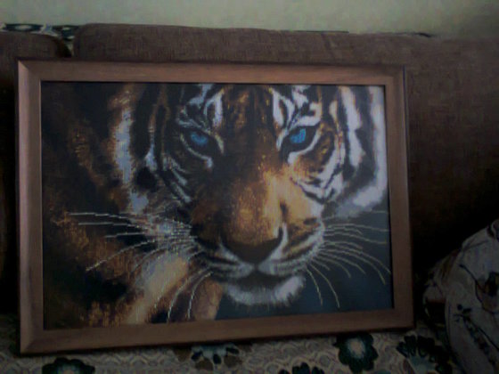 Работа «Взгляд тигра.»
