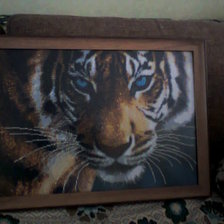 Работа «Взгляд тигра.»