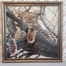 Работа «№74012»