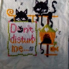 Работа «Gatos negros»