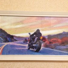 Работа «Байкер»