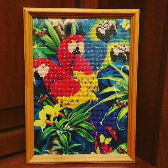 Работа «Алмазная мозаика "Попугайчики" (частичная выкладка)»