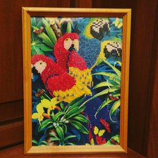 Работа «Алмазная мозаика "Попугайчики" (частичная выкладка)»