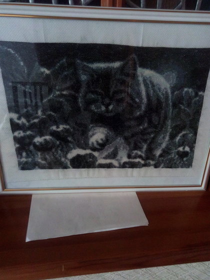 Работа «№74641»