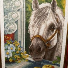 Работа «любопытный сосед»