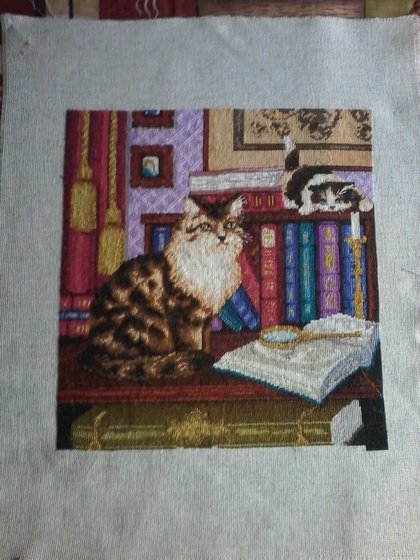 Работа «коты 2»