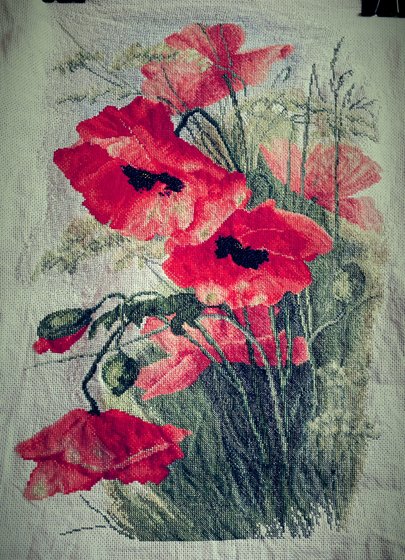 Работа «Маки»